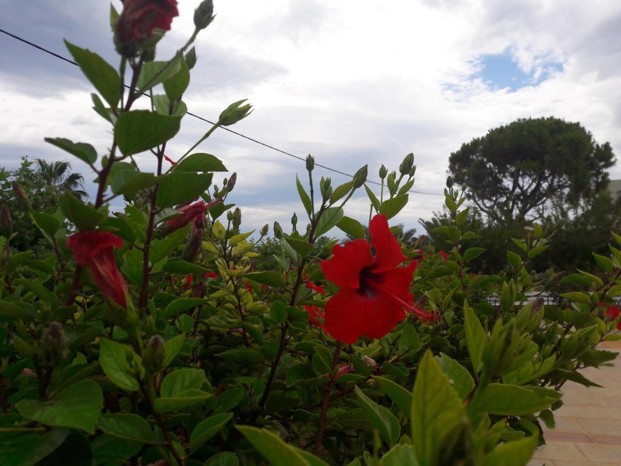 Villa Myrto Hersonissos  Luaran gambar
